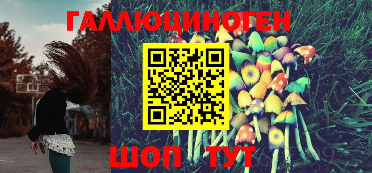 цена   Псилоцибиновые грибы MAGIC MUSHROOMS  Вход с VPN  Иркутск 
