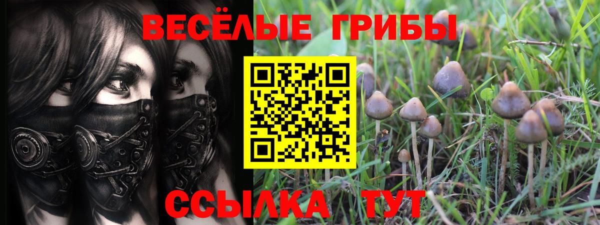 Псилоцибиновые грибы MAGIC MUSHROOMS Иркутск