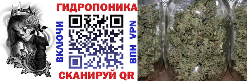 купить   Иркутск  Марихуана OG Kush 